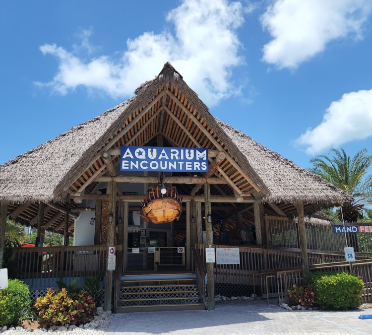 Florida Keys Aquarium Encounters (Marathon,&nbspFL)